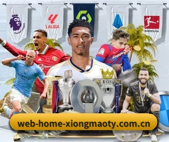 web-home-xiongmaoty.com.cn APP