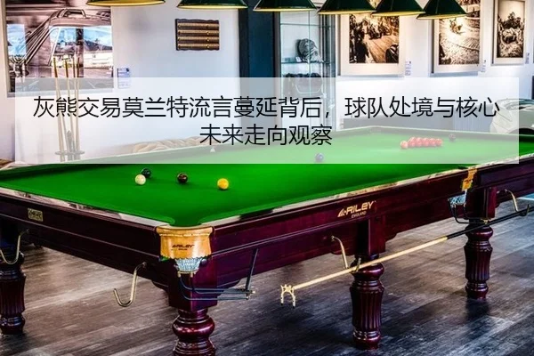 灰熊交易莫兰特流言蔓延背后，球队处境与核心未来走向观察